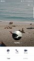 Click image for larger version

Name:	Screenshot_20181124-081526_LINE.jpg
Views:	51
Size:	260.4 KB
ID:	479882